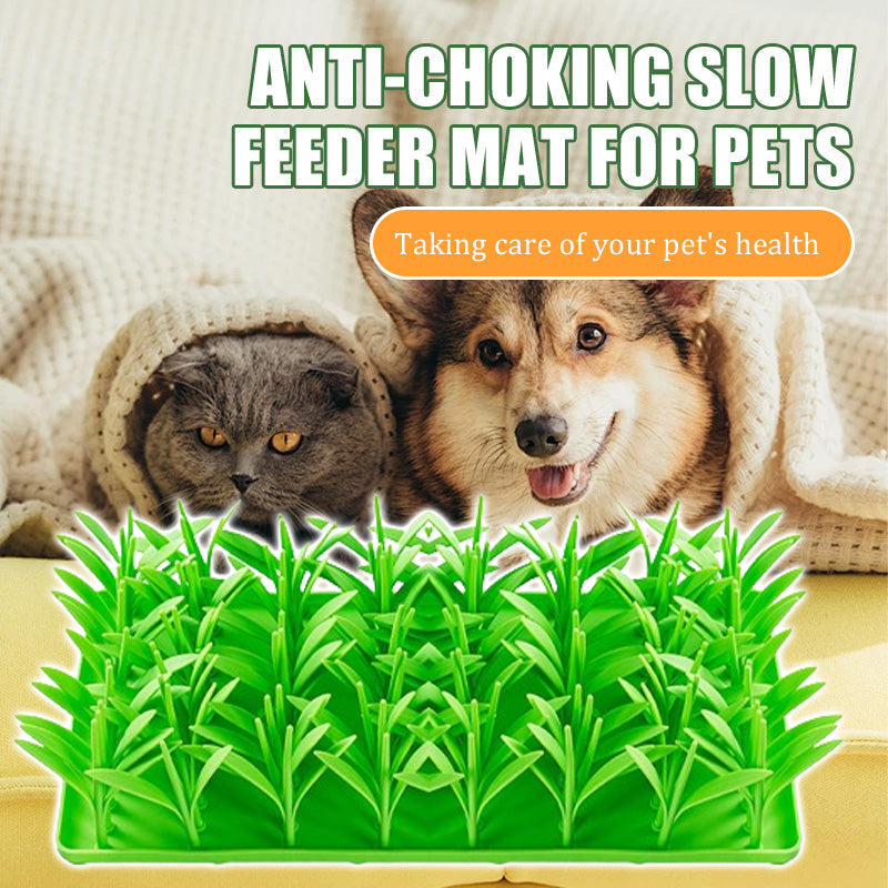 Anti-Choking Slow Feeder Mat for Pets