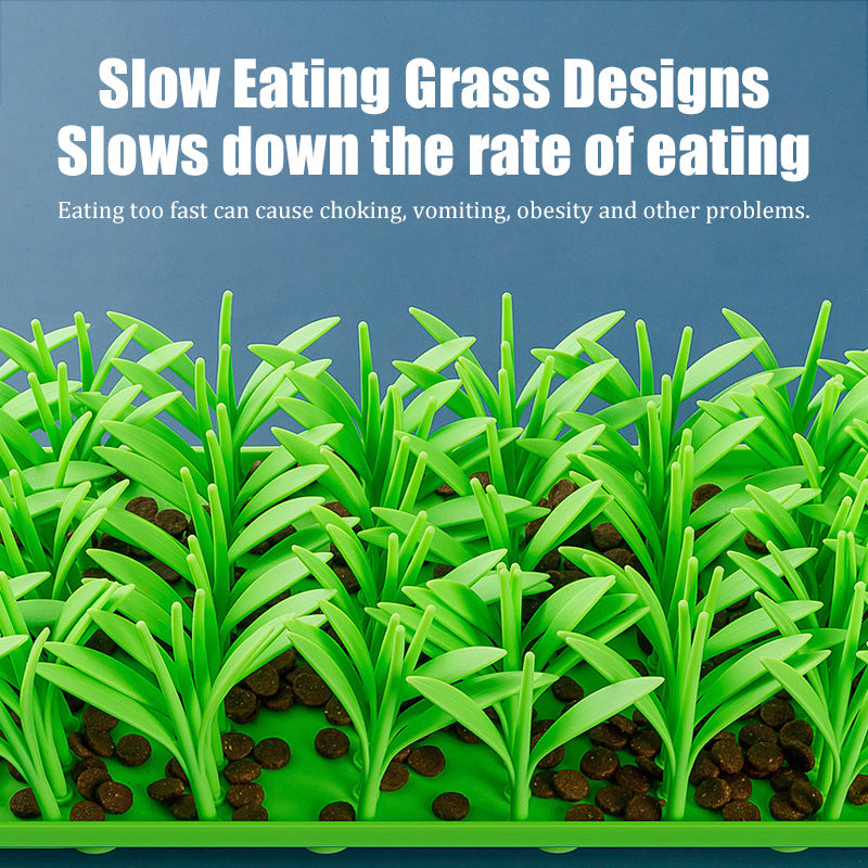 Anti-Choking Slow Feeder Mat for Pets