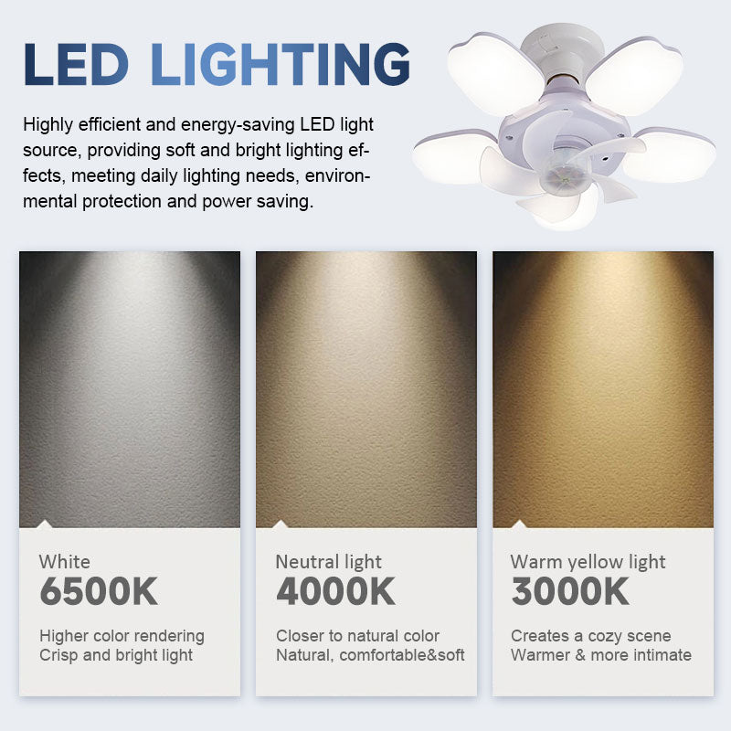 Five-Blade Fan Light