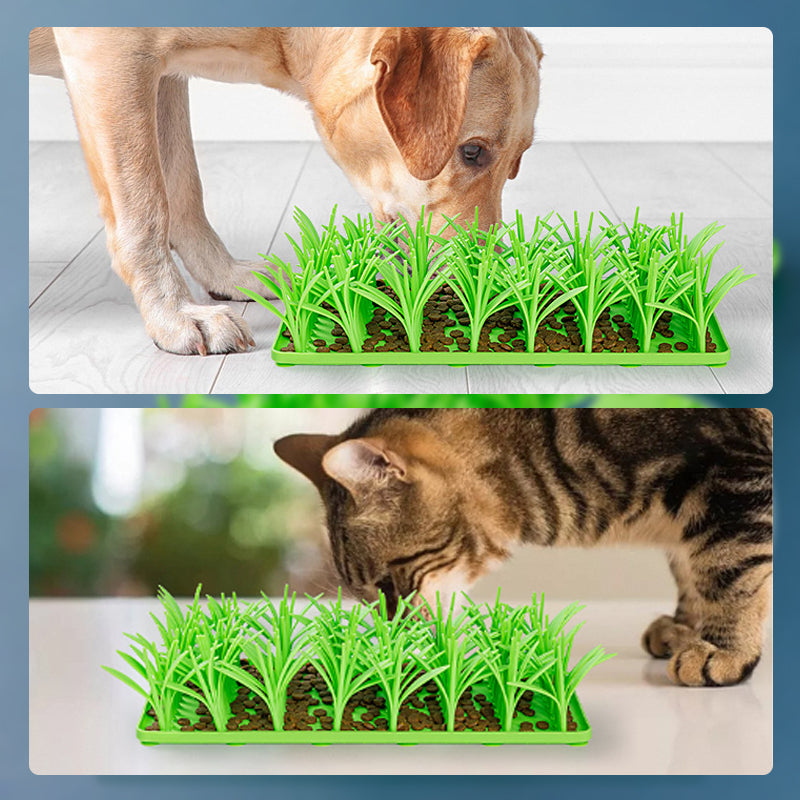 Anti-Choking Slow Feeder Mat for Pets