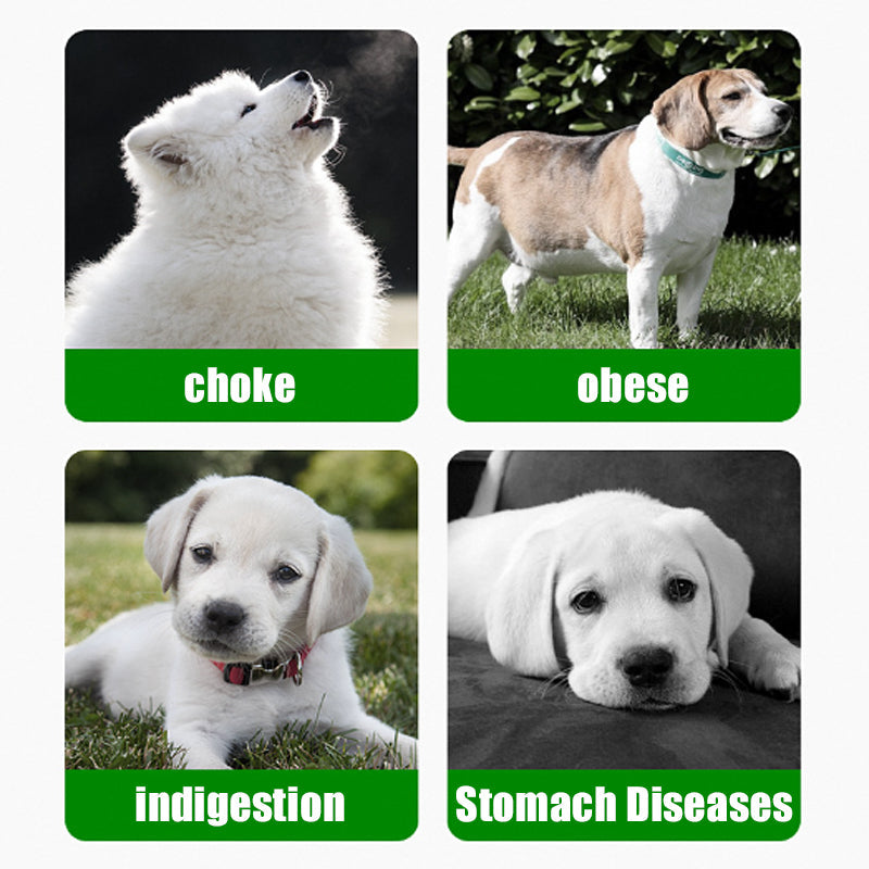 Anti-Choking Slow Feeder Mat for Pets